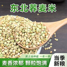 �F؛�����w��������s���w���״ּZ�w�������������r�ҼZʳ�w����