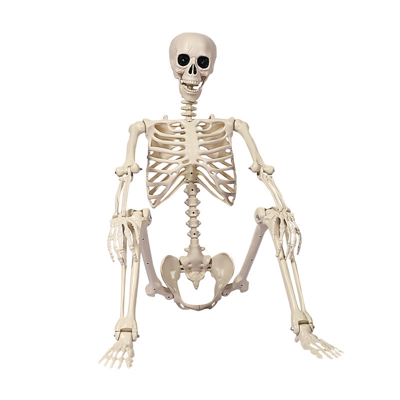 Halloween New Skeleton Man Movable Joints Can Stand Skeleton Party Bar Haunted House Decoration Atmosphere Layout