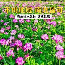 ���Ӣ�N�����ݷN�Ѽt���ݻ��N������Դţ�������Ȼ�G�ʸ������|