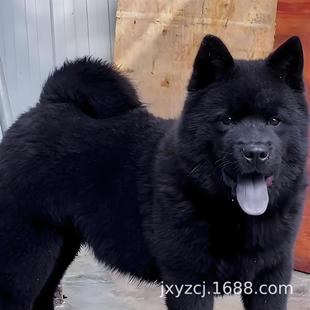 ���N������A��@Ȯ���CȮ���w��Ȯ����Ȯ�o�lȮ����ȮС�����ﹷ