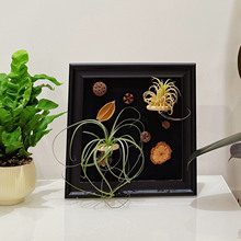 ڰNFչʾ՚Pռ{bA3[