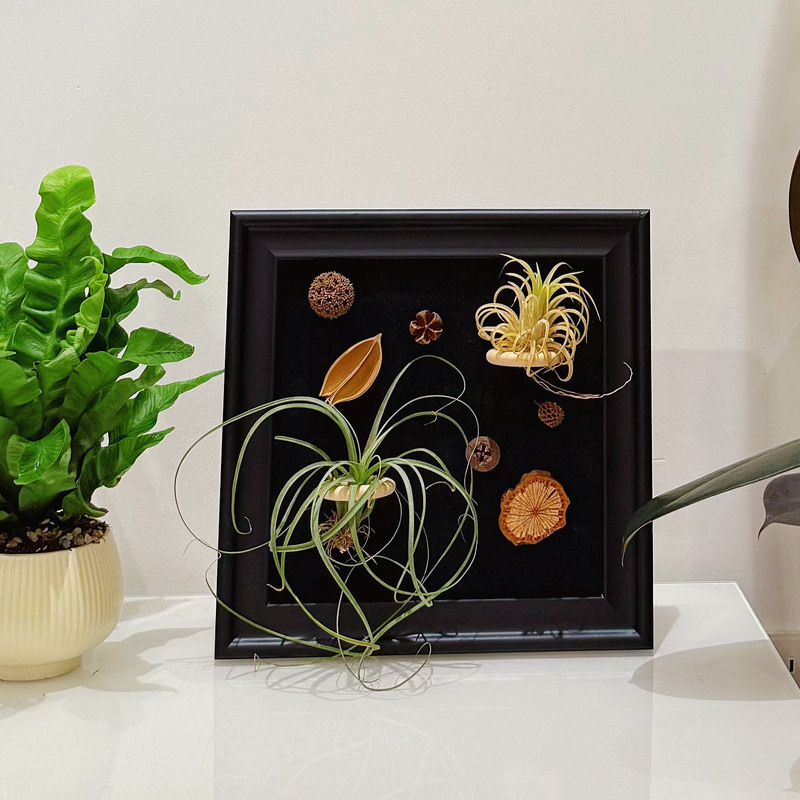 Magnetic Blackboard Refrigerator Magnet Photo Frame Magnet Polaroid Display Board Air Pineapple Storage Decorative Picture Frame A3