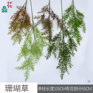 ɺ���� ��֦�̼��� ��c����d��ꐲ廨���� ��Yӭ�e�^·������