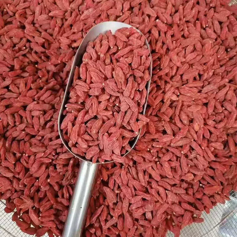 180粒宁夏枸杞子原产地宁夏中宁县枸杞工厂大颗粒干果枸杞子批发