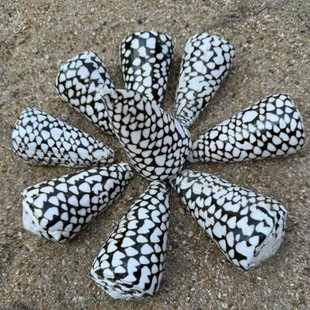 ��Ȼ����ؐ���u�������~���쾰�b��Ĕz���߼Ҿ��ղ�Ʒ�[��