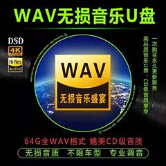 WAV无损音乐U盘2025发烧歌曲汽车车载听歌优盘64G黑胶车载神器