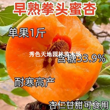 �Ә����ش�ȭ�^���ӹ�����޽����̓��ϱ����Nֲ���Ե��Ԯ���Y��
