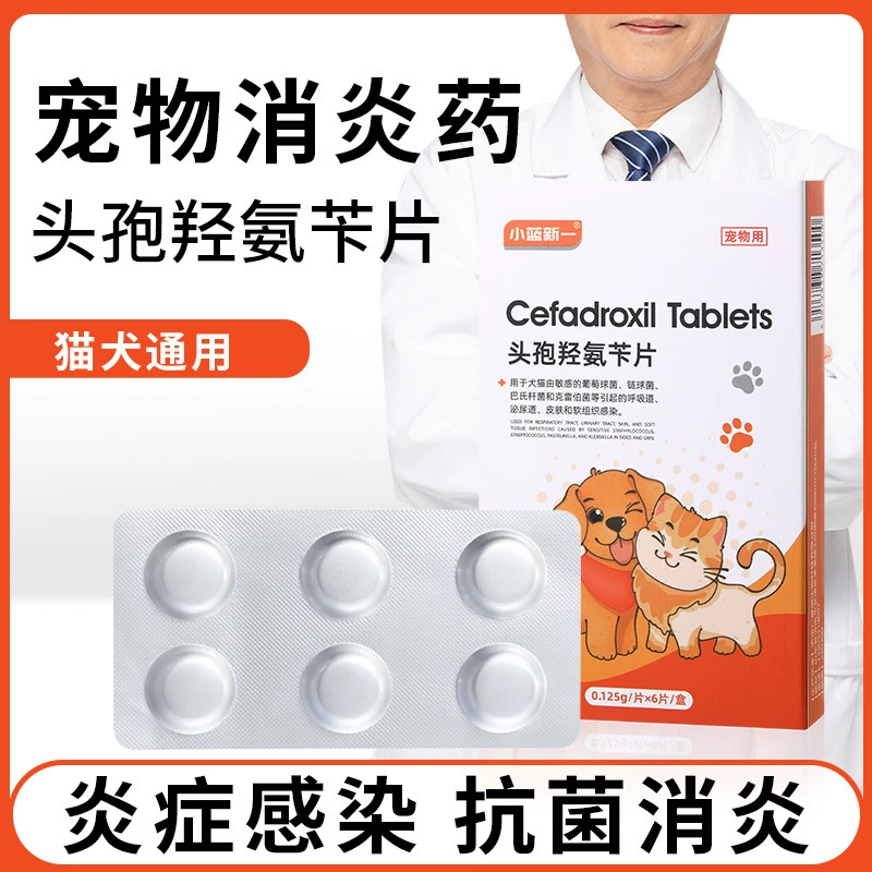 Цефадрексил таблетки для домашних животных, противовоспалительное средство для собак и кошек, специальное цефалоспориновое средство от простуды при инфекциях мочевыводящих путей и кожных заболеваниях.