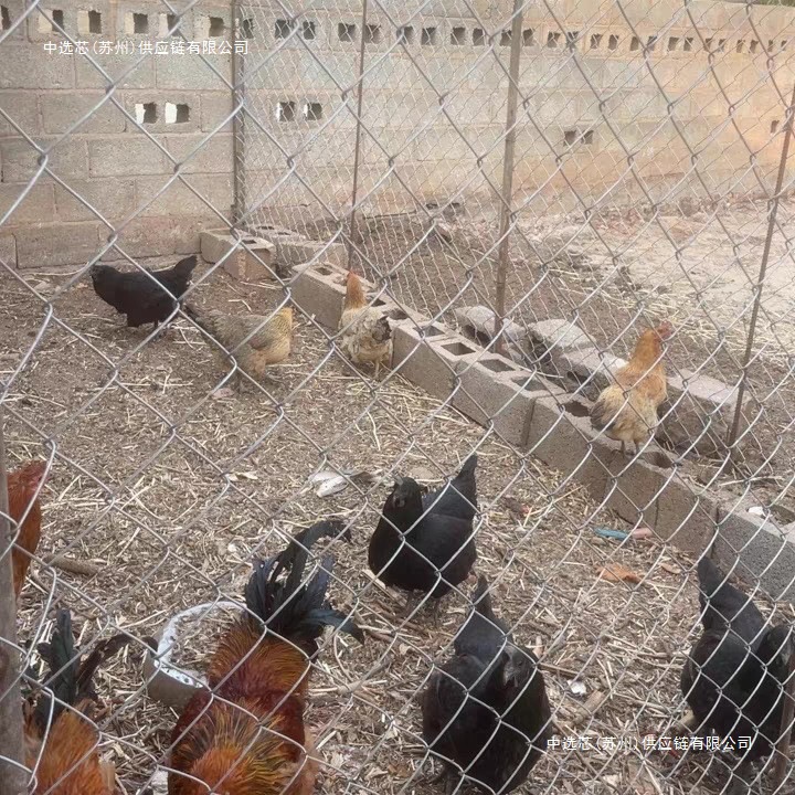 包树头护栏网厂勾花网防护网体育镀锌防护网球场林区铁丝网畜牧