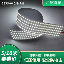 led����������384/640�������͉���������ܛ�􎧟��l���̏S��