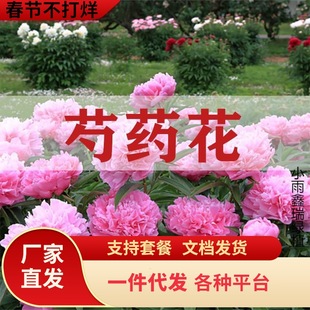 һ�����l��ș����N�ٺϻ��ذꎧѿ���K�N���̨����ͥԺ�ͺ�����