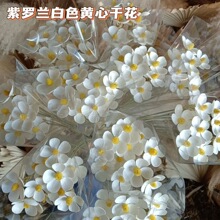 ��ϸɻ����_�m�ɻ��������_�m���ݺ����m�����m��ļҾ��Ĕz�[��