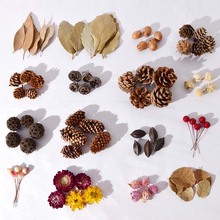 Ȼɹɻ~ɹmϹϸ~׃@h޹DIY