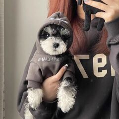 狗狗衣服春秋泰迪雪瑞纳小型犬约克网红狗秋冬季宠物加绒卫衣猫咪
