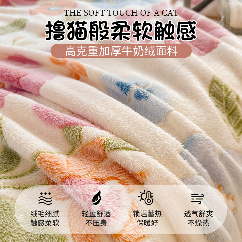 2025冬季新款毛毯牛奶珊瑚法兰绒毯单件床单加绒防滑毛毯宿舍被单|undefined