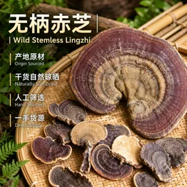 灵芝;其他药食同源;其他滋补