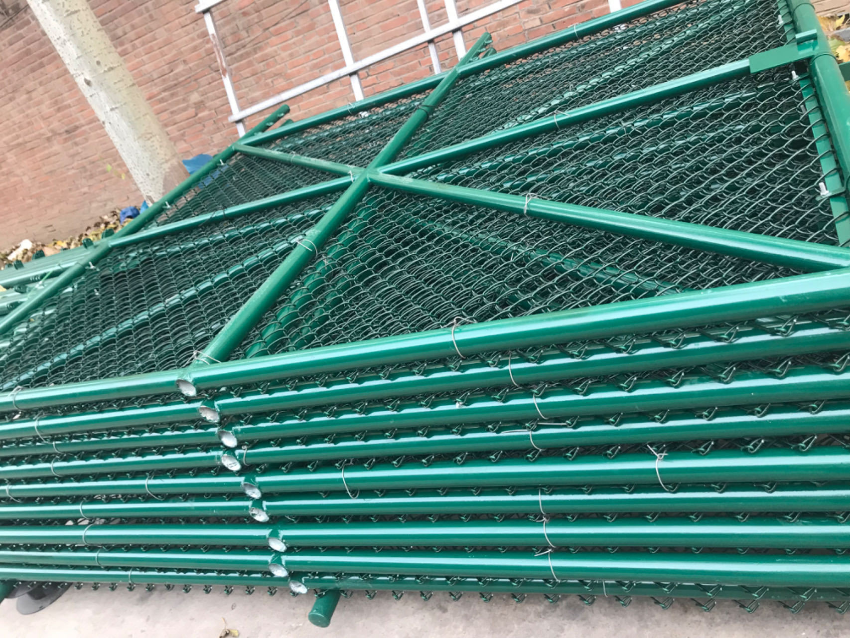 微信图片_20240315162659