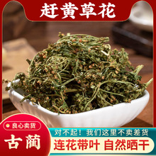 sSݻ500gҰɽĴAȫ껨»βؕ