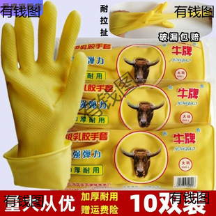 ���z���� �zƤ�����|�z���� ����.���I���� ���z����10�p