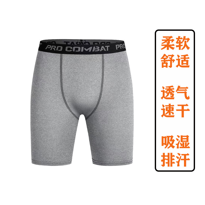 10041 대마재