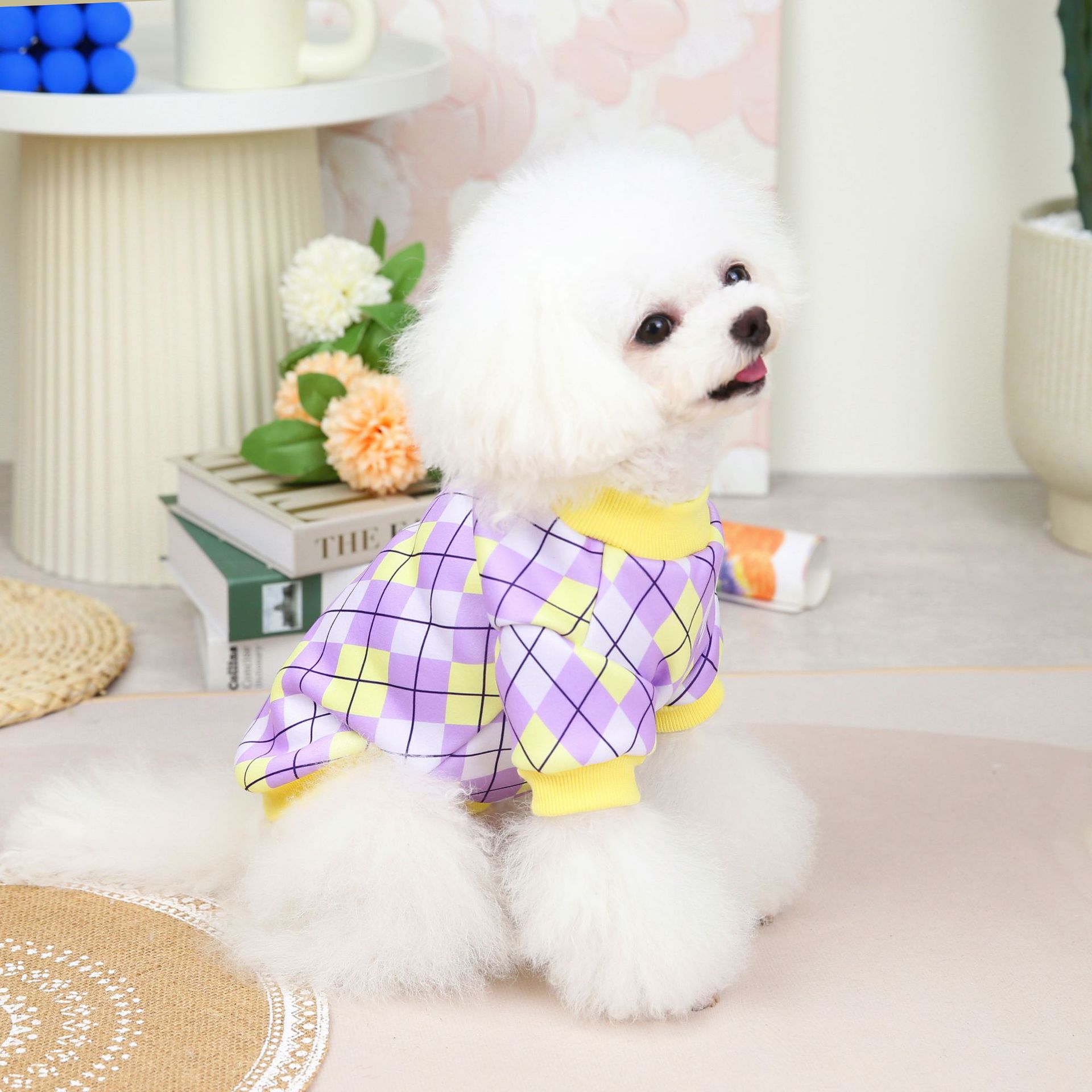 2022韩版经典格子卫衣