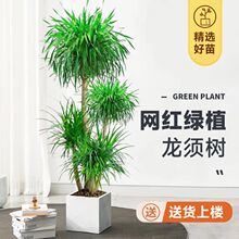 �W�t��횘�������Ѫ���k���ҿ͏d���;Gֲ�p���҃�ֲ����^���F��