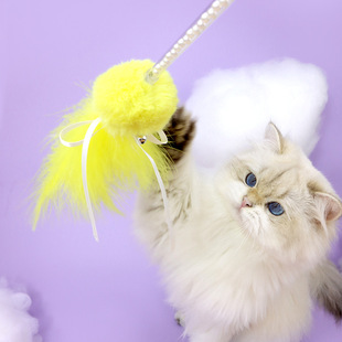 ?������Ů��؈��؈���������ë�L�U��K�؈���K��ҧ�␞؈����