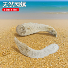 海螺贝壳收藏标本网螺拍摄道具鱼缸造景家居装饰材料批发白珊瑚