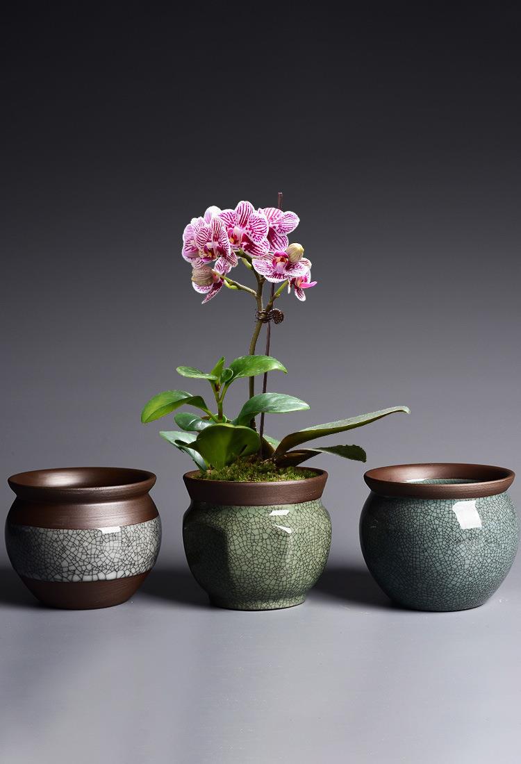 Vaso per succulente in ceramica argilla viola con crakelé_voghion.com