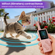 26���¿�l���Ȧ���ﹷ����؈ֹ���������b�ؿ羳Ӗ����LED����