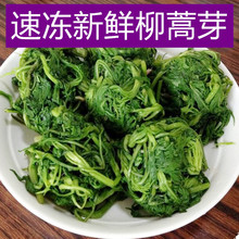 东北长白山野菜柳蒿芽新鲜冷冻水蒿1斤蘸酱菜炖鱼排骨包邮