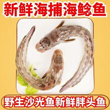 【海鲢鱼】_海鲢鱼品牌/图片/价格_海鲢鱼批发_阿里巴巴