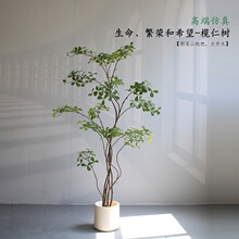 �߶˷���Gֲ������~��͏d���ҾƵ�䁙�����ضU����������b�