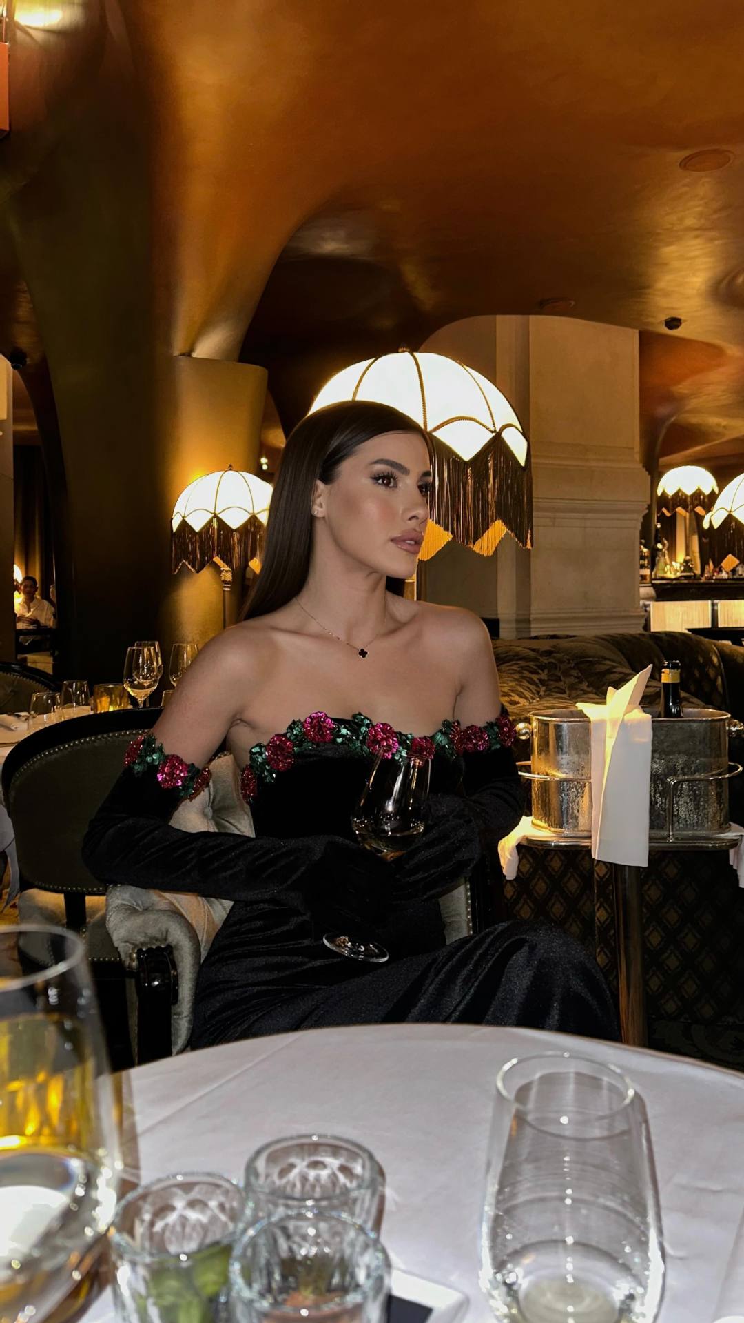 Women's Clothing Beaded Lace Decorated Velvet Skirt Dress Long Skirt with Gloves_voghion.com