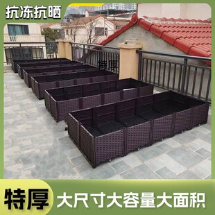 �¿���픴��ͭh���Ӻ��̨�L�����߲˷Nֲ��N����������Ӵ�ӌ�