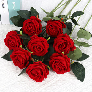 ����q��õ�廨����õ��ӼҾƵ��Y���˹�õ�廨���b����ٻ�