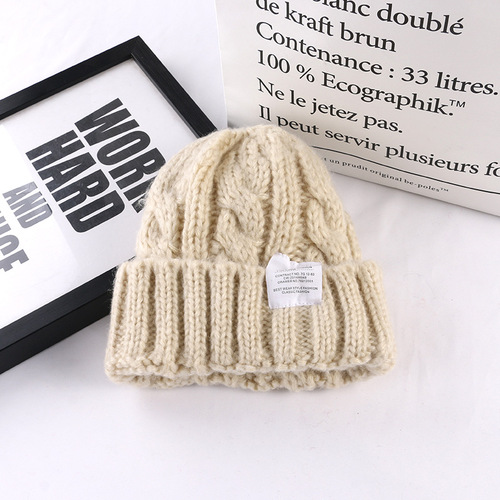 Knit Hat for Women Autumn, Warm and Windproof, Versatile Hooded Hat, Korean Style, Casual and Fashionable, Loose Ear Warm Winter Hat