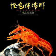 �^�p�r���r٪�������r�����p��С�����r��ˮ���w�rˮ���~�׌����r