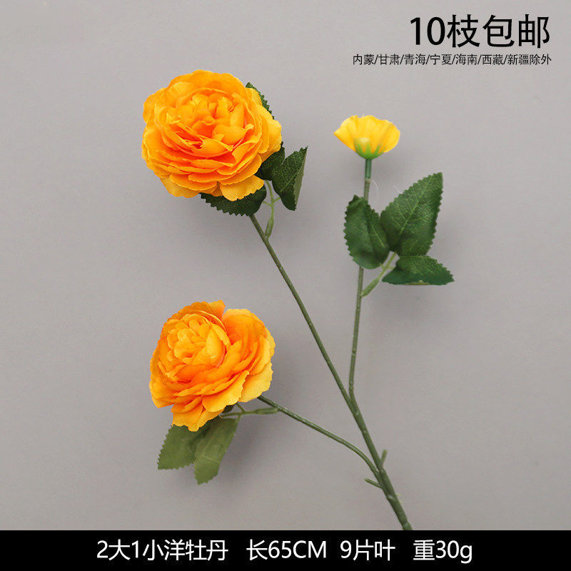 2大1小洋牡丹