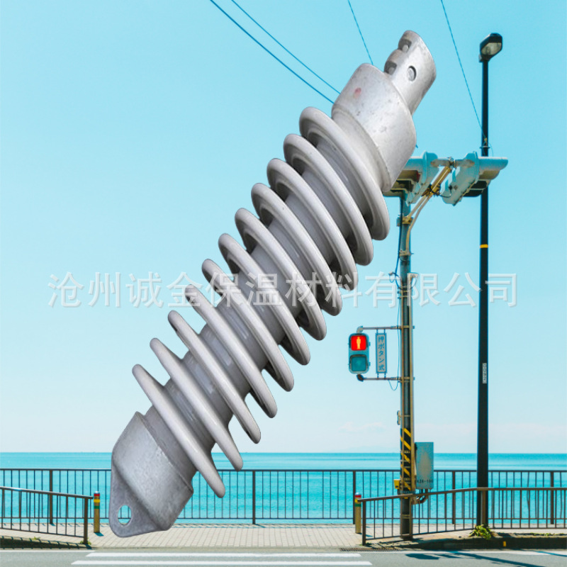 QBS-25/8  双重绝缘铁路绝缘子电气化 铁路腕臂绝缘子QBSN-25/8