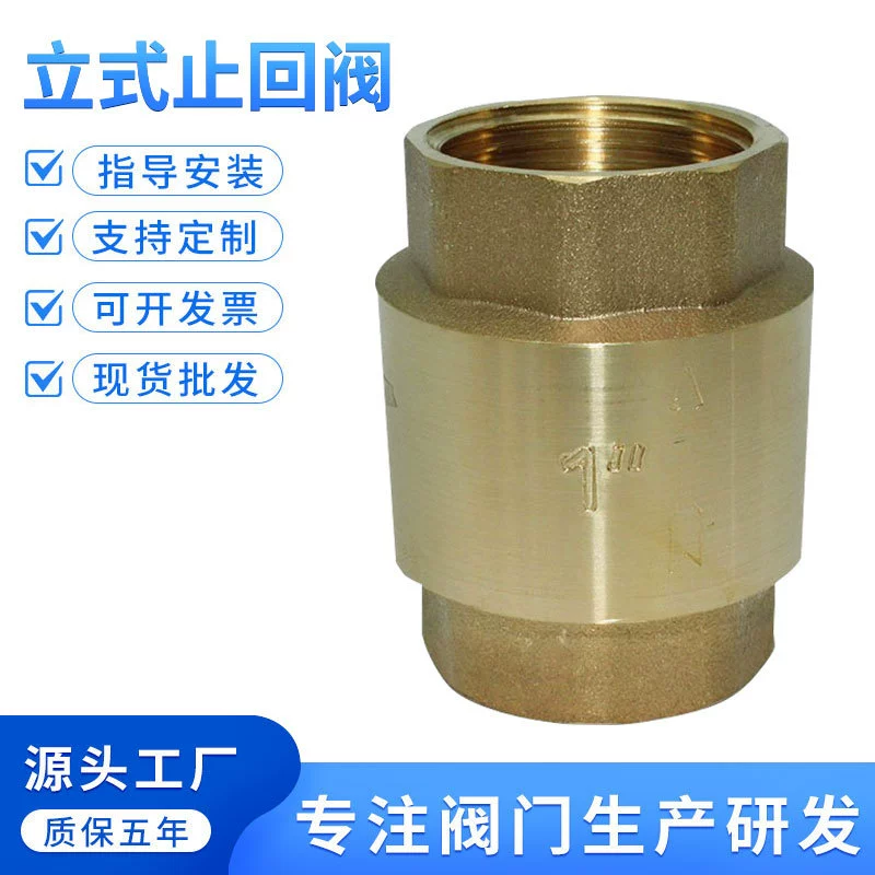 Латунный вертикальный обратный клапан, утолщенная труба для водопроводной воды, обратный клапан, пружинный клапан, 4 точки, 6 точек, 1 дюйм