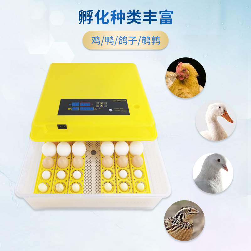 48 pequeña incubadora inteligente con un solo clic incubadora de pollo incubadora de huevos