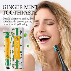 KORMESIC生姜ミント歯磨き粉toothpaste清潔口腔看護国境を越えた対外貿易メーカー卸売り