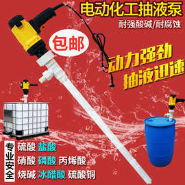 耐酸碱电动插桶泵rpp油桶泵电动抽液泵手提化工桶泵盐酸泵硫酸泵