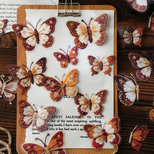 ���BPET�N���� ����ӛ��ϵ�� �����¿��֎��b�diy�N��30���� 6��