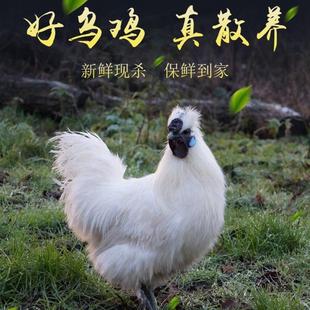 ���P���u��ֻ�F�����u�r��ɢ�B�ڹ��u���u���u���ĸ�u�����u���l
