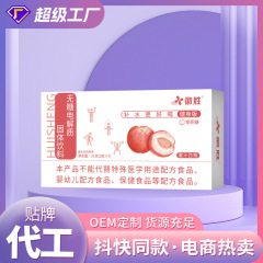 無糖電解質粉末固形水飲料卸売Douyin電子商取引サイクリングスポーツ電解質顆粒