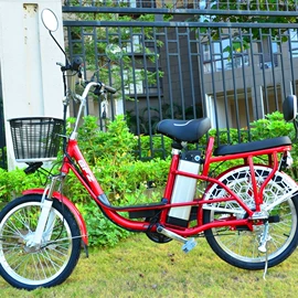 其他非机动车;其他电动车;电动滑板车