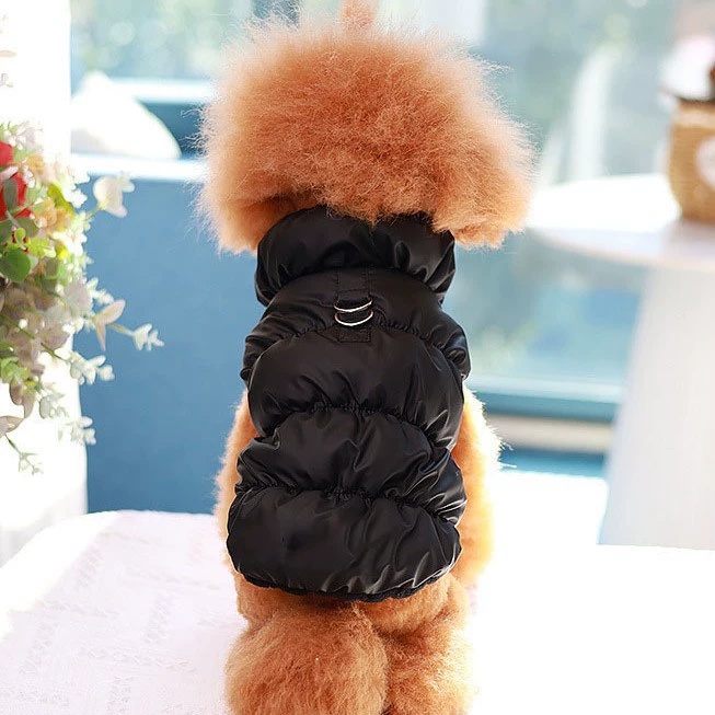 Трансграничная новая собака кошка одежда пуховик жилет зимой теплая и толстая кошка зимняя