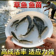 �ش�̖���~�~�絭ˮ�Bֳʳ�����~�r����˰�ﻨ����·���a�~���l